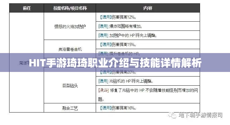 HIT手游琦琦职业介绍与技能详情解析