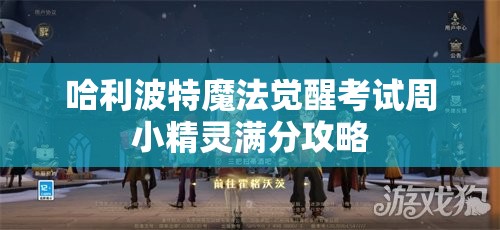 哈利波特魔法觉醒考试周小精灵满分攻略